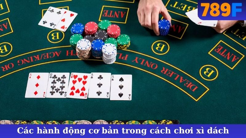 Các hành động cơ bản trong cách chơi xì dách
