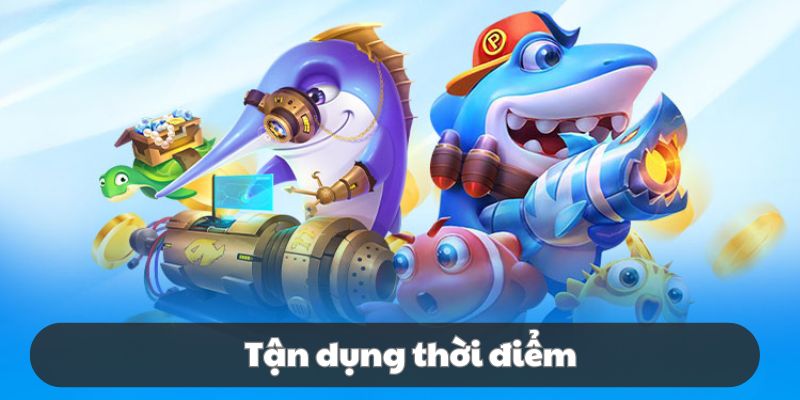 Thành viên nên nắm rõ các thời điểm săn mồi lý tưởng
